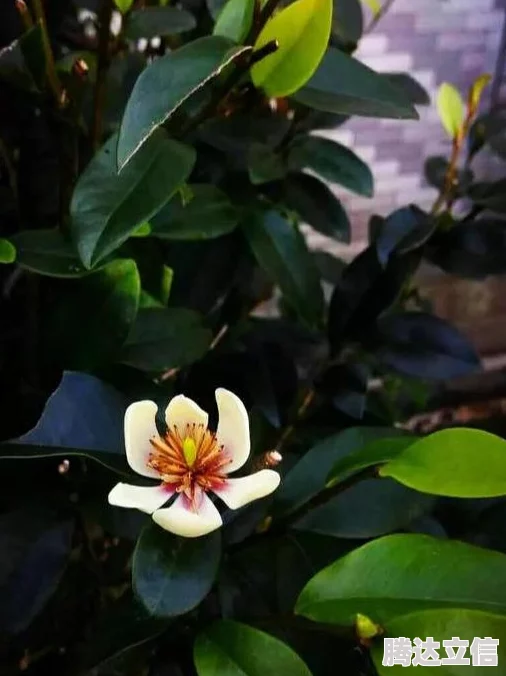 梅开二度当孩子面，明星亲子活动现场大曝光，家长们惊呼连连，笑声不断引发热议！