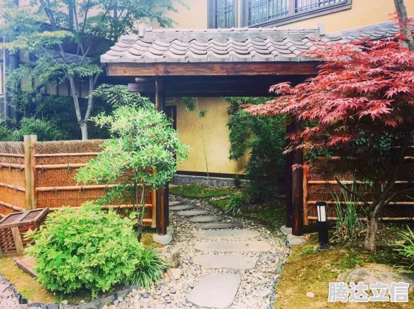 《心动小镇》高效获取电热水壶的详细方法与攻略指南