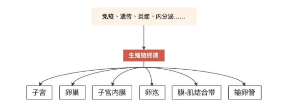 使命召唤手游异变围城活动奖励详解 ｜ 全部奖励获取攻略