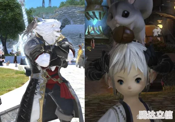 FF14迷你莉瑟宠物获取攻略，详细步骤与方法解析