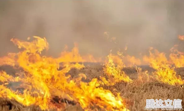 王者荣耀里的喷子为何更多，探究游戏环境恶劣的原因