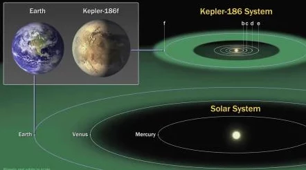 2025热门探索：星球重启后，奇形苁蓉在哪些新发现星球上可采集？