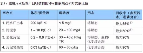 2025年Raft污泥在环保技术与资源回收中的创新应用