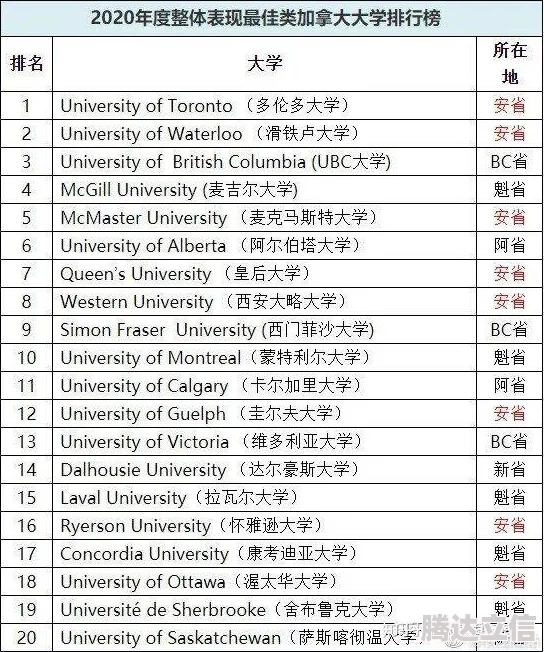 2025年热门指南：森之国度金猫选择策略与最新品种推荐