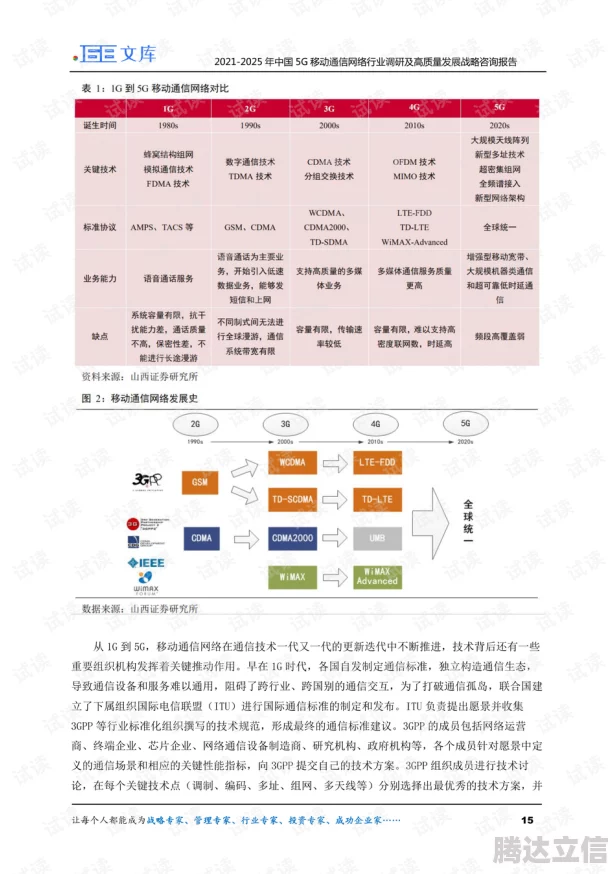 2025年热门指南：森之国度猫灵选择策略与最新养成趋势