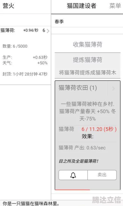 2025年热门指南：森之国度猫灵选择策略与最新养成趋势